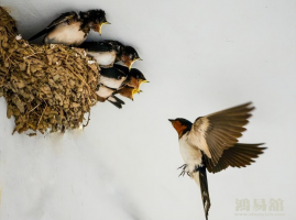 b型血女人的性格特点 B型血女生性格解析