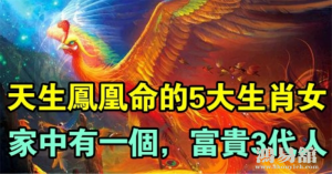 b型血女人的性格特点 B型血女生性格解析