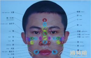 b型血女人的性格特点 B型血女生性格解析