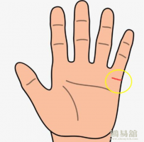 b型血女人的性格特点 B型血女生性格解析