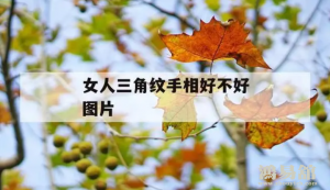 b型血女人的性格特点 B型血女生性格解析