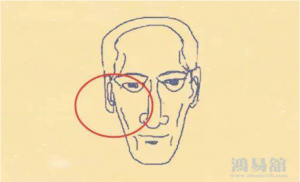 b型血女人的性格特点 B型血女生性格解析