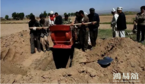 b型血女人的性格特点 B型血女生性格解析