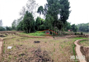 b型血女人的性格特点 B型血女生性格解析