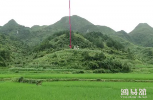 b型血女人的性格特点 B型血女生性格解析