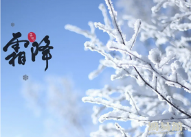 b型血女人的性格特点 B型血女生性格解析