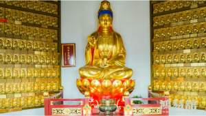 b型血女人的性格特点 B型血女生性格解析