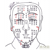 b型血女人的性格特点 B型血女生性格解析