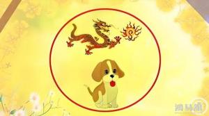 属龙的和属狗的配对怎么样？