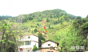 b型血女人的性格特点 B型血女生性格解析