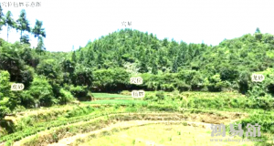 b型血女人的性格特点 B型血女生性格解析