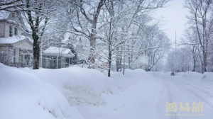 b型血女人的性格特点 B型血女生性格解析