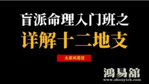 盲派十二地支类象